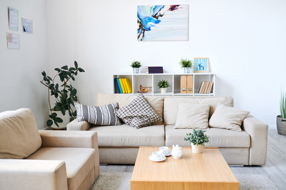 clean & organized home