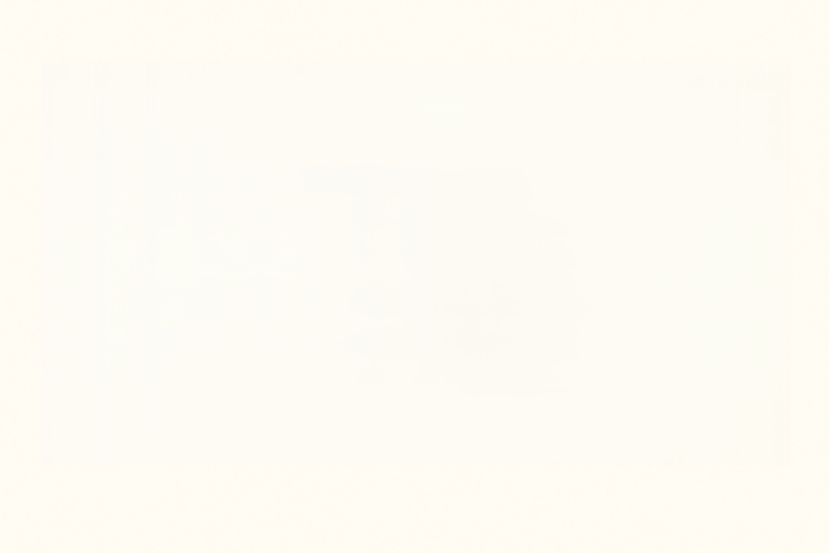 background-clean.png