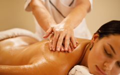 Palais France Massage - Texas City business