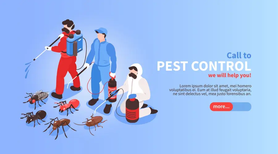 rodent-pest-control.jpg