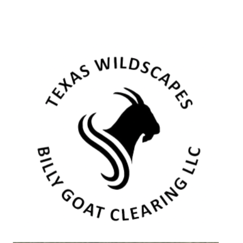 Untitled design (3).png