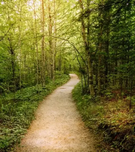 trail-on-the-path-to-serenity (1).jpg
