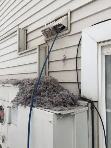 imgi_2_professional-dryer-vent-cleaning.jpeg