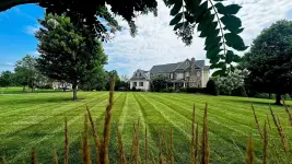 Green Side Up Landscaping - Richmond business