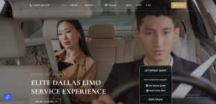 Starlink Limos business
