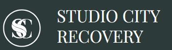 Studio City Recovery - Vista business