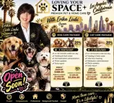 La Fresh Eco Cleaning Gardening Car Wash Dog Walking Funeral Catering Cleaning - Los Angeles business