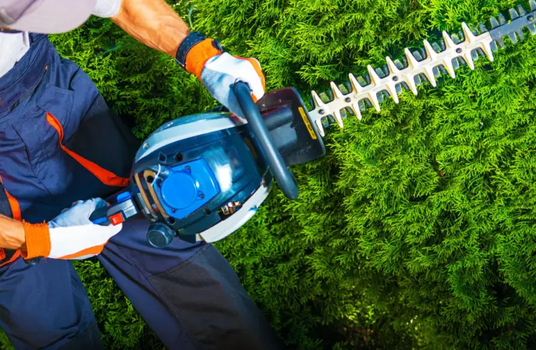 close-up-electric-hedge-trimmer-gardener.jpg