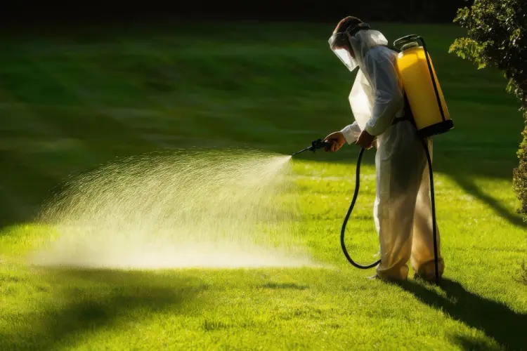 lawn-spraying-service.jpg