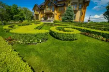 Certified Green Landscape - Charlotte business