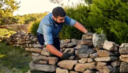 Mannas Lawncare Services - Charlotte business