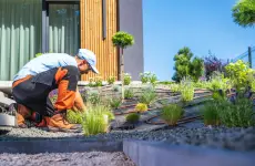 Hedge Landscape - Columbus business