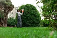 Mannas Lawncare Services business