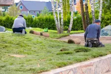 Dll Landscaping & Tree Service - Columbus business