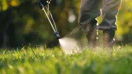Branch Specialists - Buffalo business