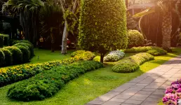 Experigreen Lawn Care - Charlotte business