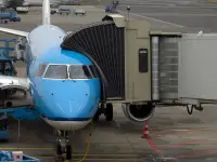 American Airlines business