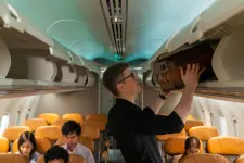 American Airlines - Miami business