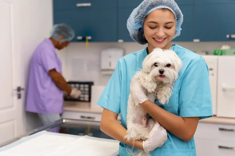 veterinary-nurse-holding-small-white-dog.jpg