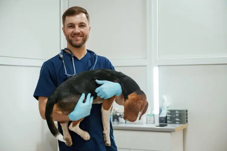veterinarian-holding-dog-in-clinic.jpg