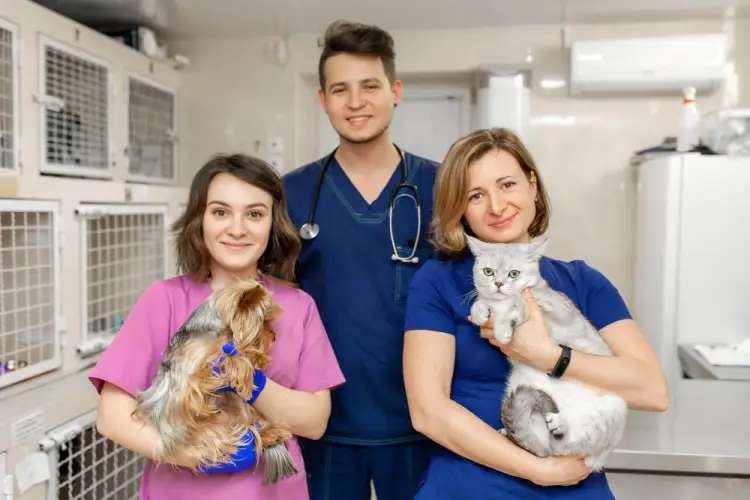 three-veterinarians-holding-dog-and-cat.jpg