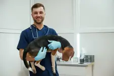 Hawthorne Hills Veterinary Hospital - 12th Ave - Seattle business
