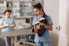 Paws Veterinary Urgent Care - Columbus business