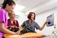 The Ohio State University Veterinary Medical Center - Columbus business