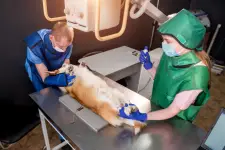 Knapp Veterinary Hospital Inc - Columbus business