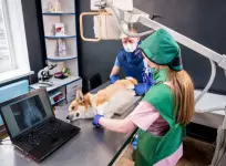 Fifth & Kenny Animal Hospital - Columbus business