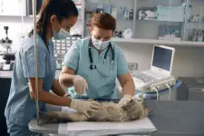 The Ohio State University Veterinary Medical Center - Columbus business