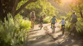Mr Bikes Rental & Scooters - Miami business