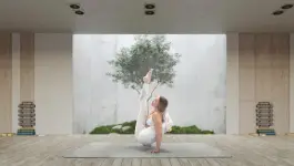 Serene Wellspa - Charlotte business