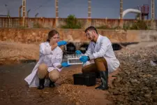 Allini Water Filters - Orlando business