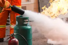 Dalmatian Fire business