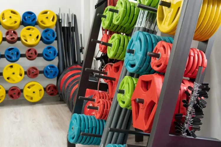 colorful-weight-plates-barbells-gym-display.jpg