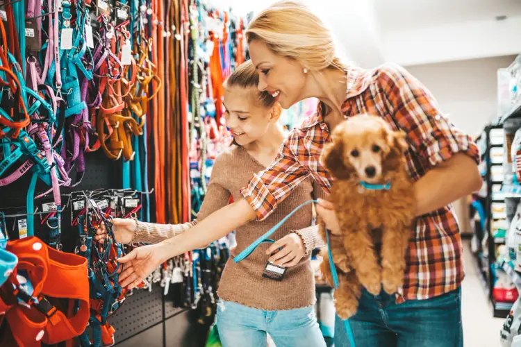 choosing-pet-collars-leashes.jpg