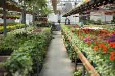 Lowe's Home Improvement business