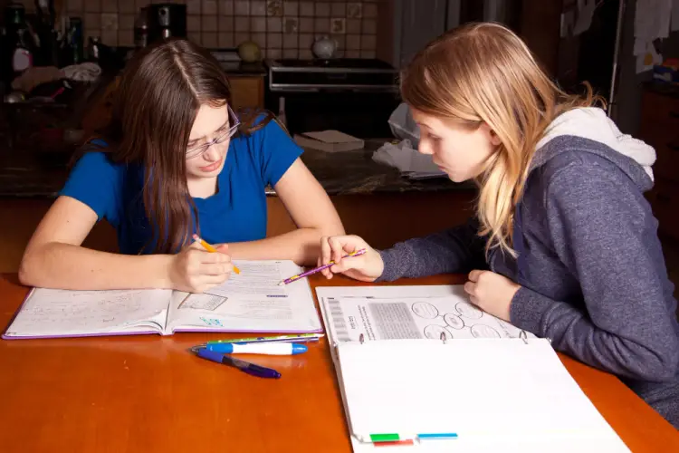 two-girls-homework-study.jpg