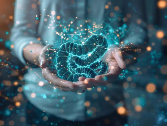 digital-intestine-hologram-in-hands-gut-health.jpg