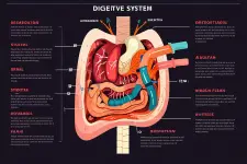 Summit Digestive And Liver Disease Specialists - Chicago business
