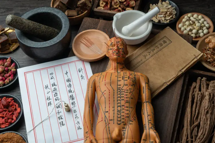 acupuncture-model-with-tcm-herbs-and-tools.jpg