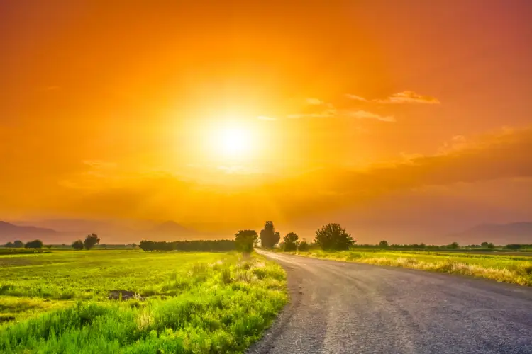 sunset-road-through-green-fields.jpg