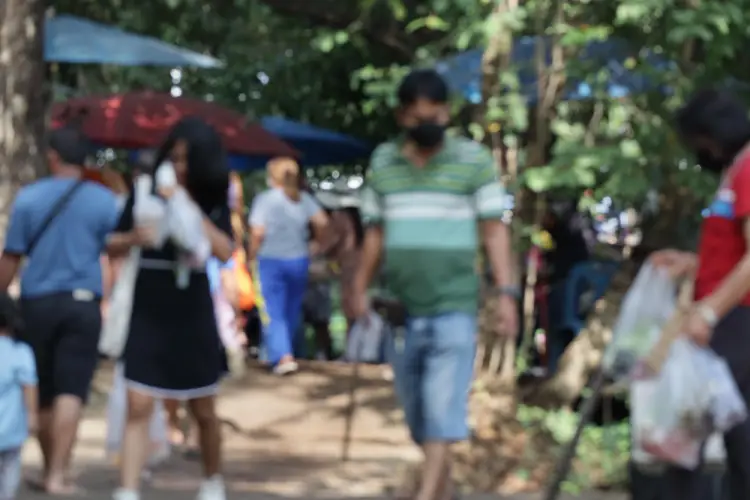 outdoor-market-crowd-under-trees.jpg