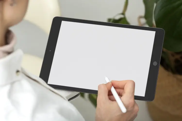 digital-artist-using-tablet-pencil.jpg