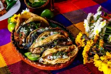 Salsaritas Fresh Mexican Grill - N Hubbards Ln - Louisville business