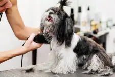 Gold Standard Dog Grooming - Charlotte business