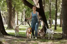 Charlotte City Pets Dog Walking & Pet Sitting - Charlotte business