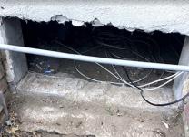 Emergency Rodent Exterminators Near Me in Long Beach – 24/7 - Long Beach - Insect Control listing