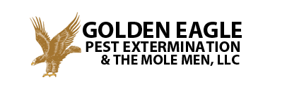Pest Control Near Me in Portland - Safe & Effective Service - Portland - Insect Control listing